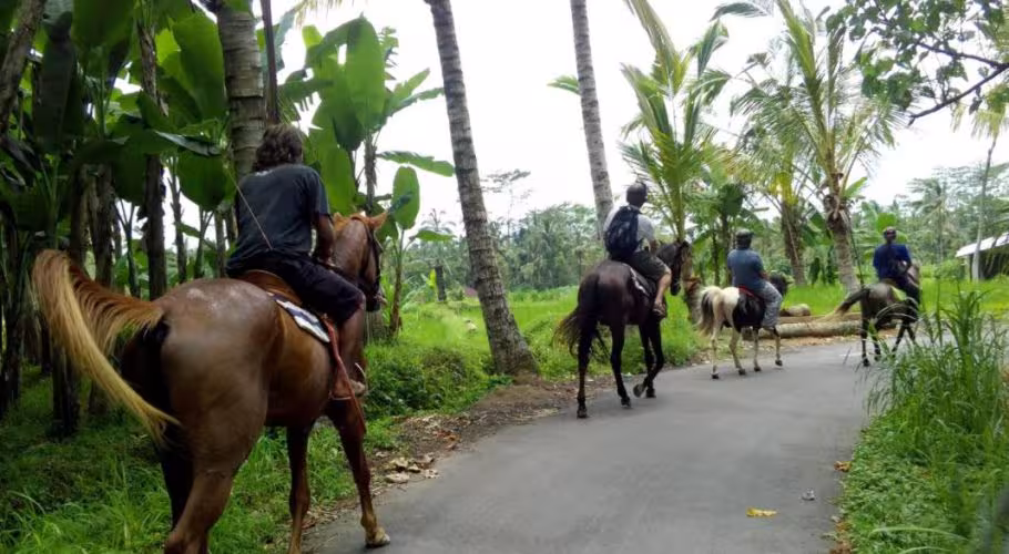 Ubud Horse Riding Ubud Horse Riding